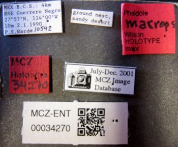 Media type: image;   Entomology 34270 Aspect: labels